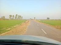 Agriculture land for sale ARAE Sohna road Faridabad