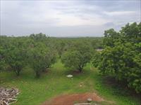 80 acres of farm land for sale in Vengal rs.20cr slightly negotiable