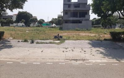 Land for sale in DLF Hyde Park, Mullanpur Garibdass, New Chandigarh