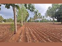 Agri Land for sale in Kanakapura Road area, Bangalore