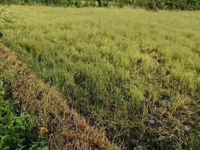 Residential Land for sale in Sadapur, Lonavala