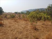 Agricultural Plot / Land for sale in Murbad, Thane