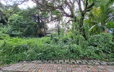 Residential Land for sale in Panaji, North Goa