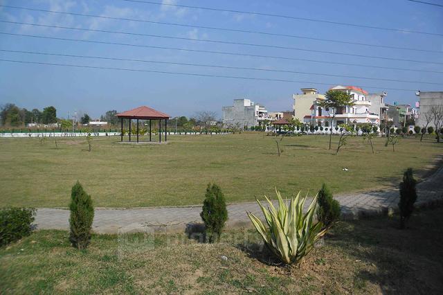 Garden