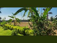 Residential plot for sale in Bangalore