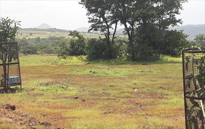 Residential Land for sale in Rajapur, Ratnagiri