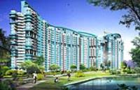 Shop / Showroom 4rent in Amrapali Platinum,Noida City Centre,Noida
