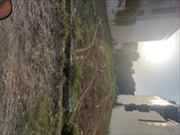 plot for sale in sector 23 palam vihar gurgaon