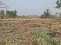 Prime Residential Land in Mangaon City