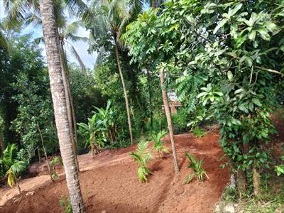 Residential Land for sale in Chakkarakkal, Kannur