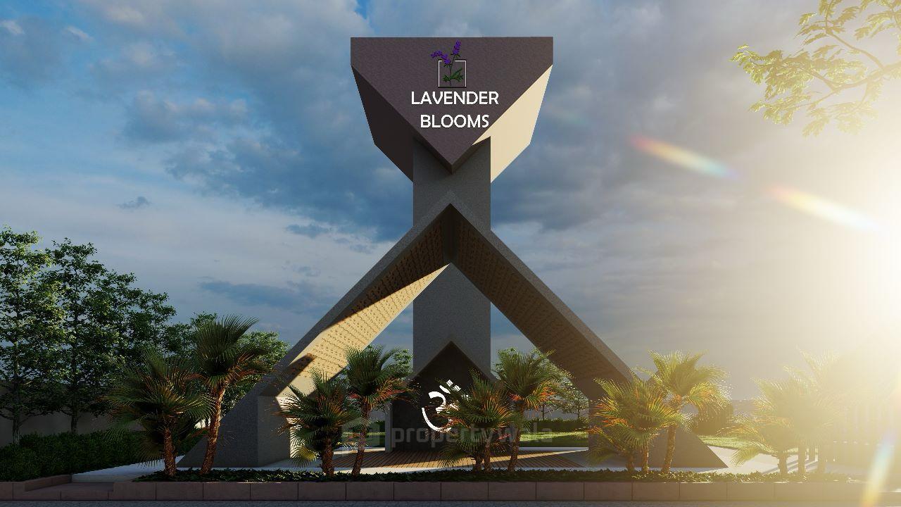 Project - Front View