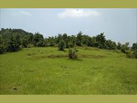 Agricultural Plot / Land for sale in Shahapur, Thane