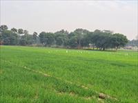 Agricultural Plot / Land for sale in Bamni Khera, Palwal