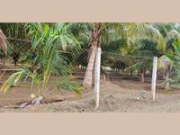 Agricultural Plot / Land for sale in Karamadai, Coimbatore