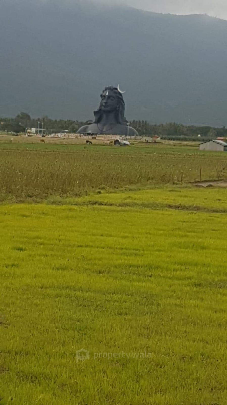 LAND PICS