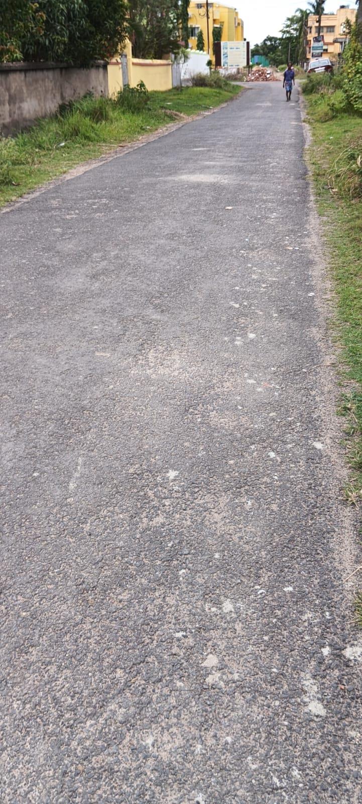 Road View
