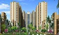 2 Bedroom Flat for sale in Today Canary Greens, Sector-73, Gurgaon