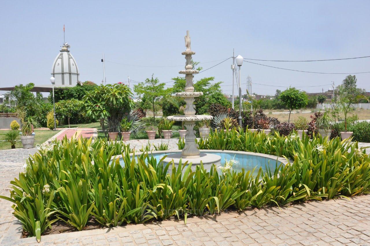 Front View