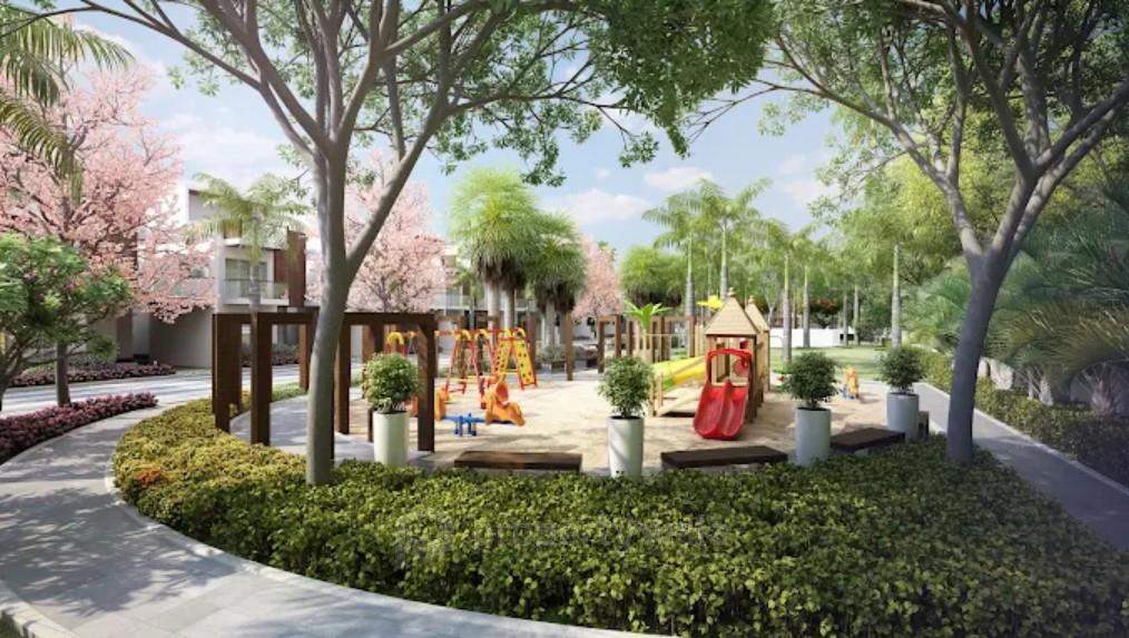 Play Area