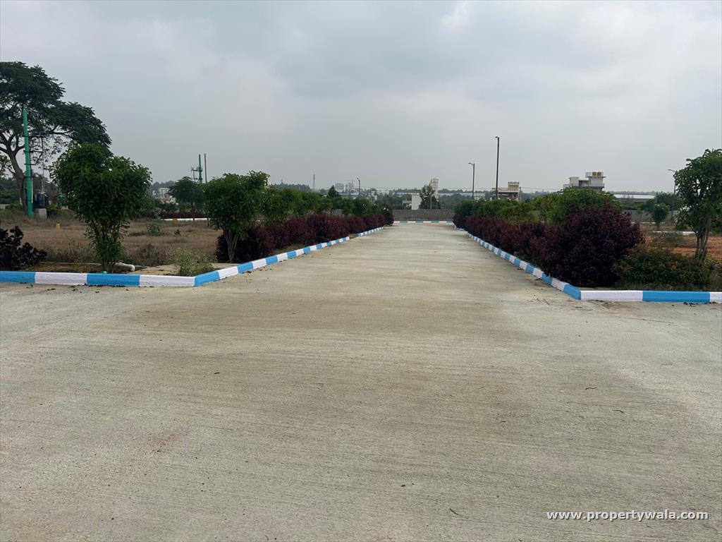 Project - land plots