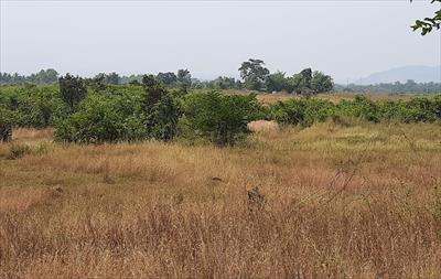 Residential Land for sale in Ranjanpada, Navi Mumbai