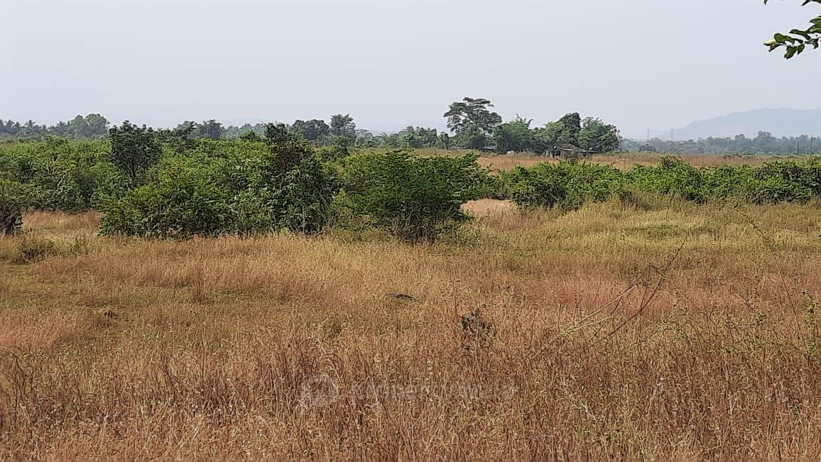 Plot Sale Ranjanpada