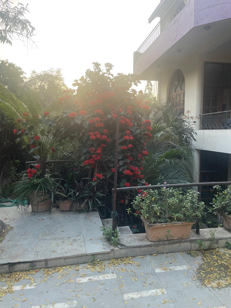 Front View