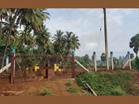 Agricultural Plot / Land for sale in Navakarai, Coimbatore