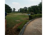 1 Bedroom Farm House for sale in Sohna Road area, Gurgaon