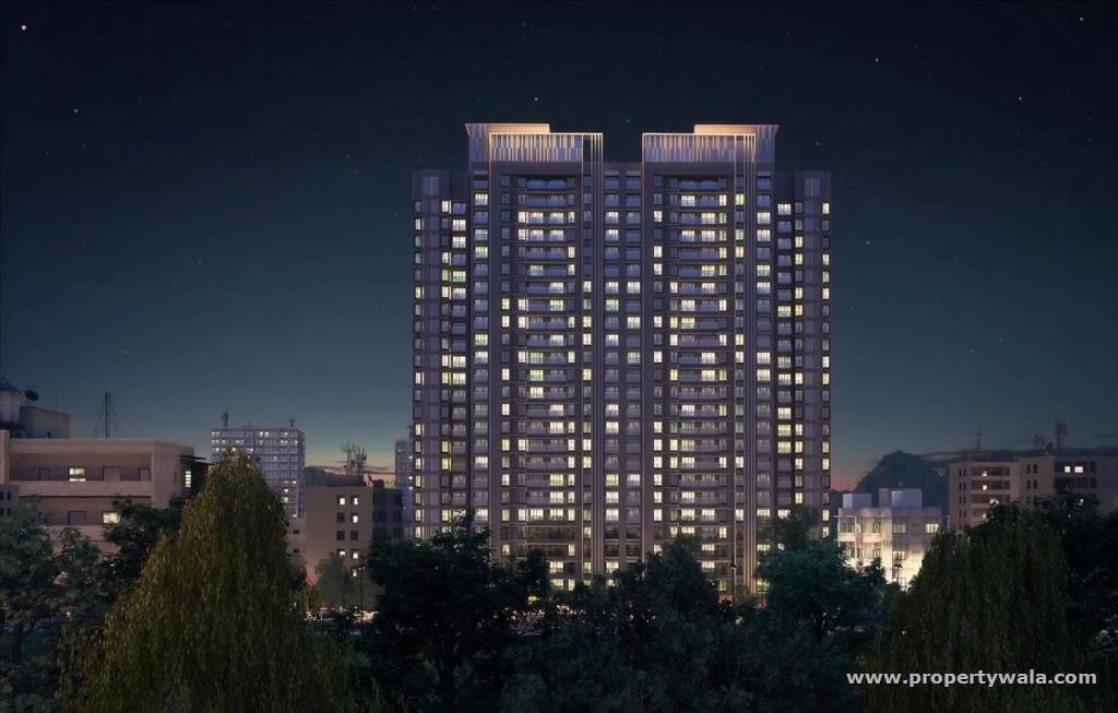 Night View