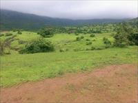 Agricultural Plot / Land for sale in Velhe, Pune