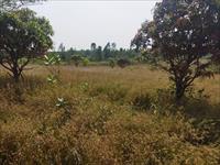 Near Saralgaon Murbad location,2acres onwards agriculture land for sale in just 30 lakhs per acre