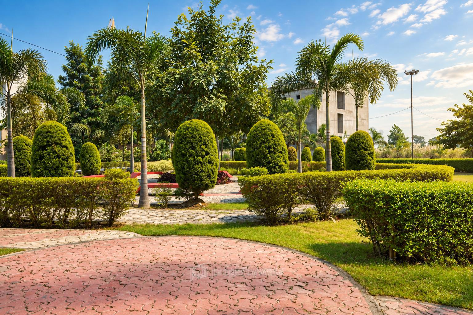 Project - Garden