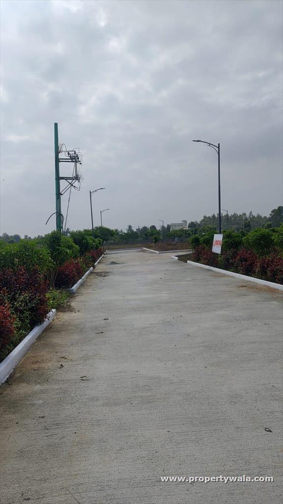 Project - land plots