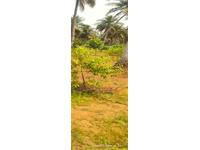 Land for Sale in Bhogapuram, Visakhapatnam