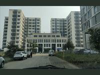 Showroom Space For Rent At Khaki Estate,Tali Park, Action Area Iid,