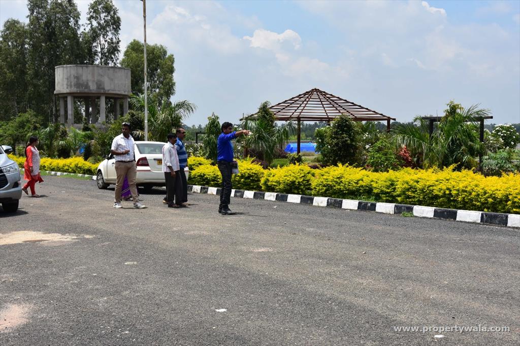 plot view