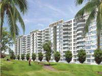 4 BHK Flat in Ambience Caitriona, Gurgaon for Rent