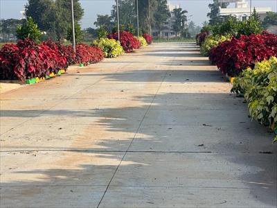 Land for sale in Aashrithaa Venus County, Jigani Anekal Road area, Bangalore