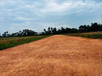 Residential Plot / Land for sale in Bhogapuram, Visakhapatnam