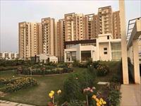 3Bhk semi furnished flat in motia royal city zirakpur