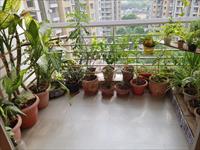 3 Bedroom Apartment / Flat for sale in Chharodi, Ahmedabad