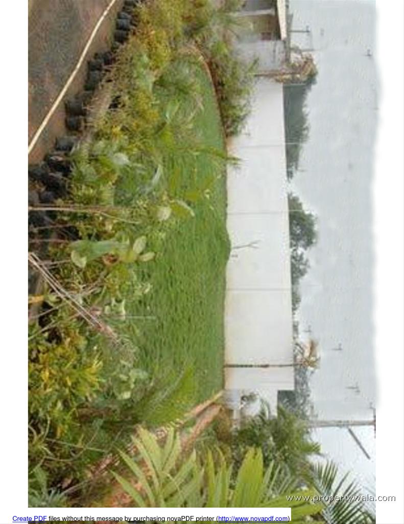 Land View