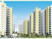 Corona Optus - Sector-37 C, Gurgaon