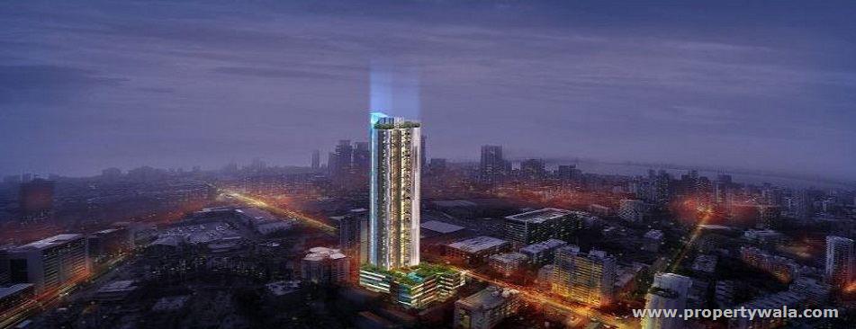 Night View