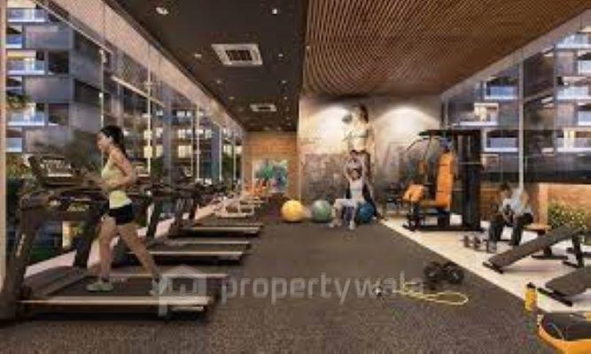 Project - Gymnasium