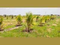Agricultural Plot / Land for sale in Avadi, Chennai