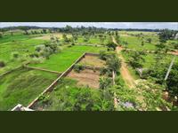 Residential Land for sale in Om Vihar, Gudia Pokhari, Bhubaneswar