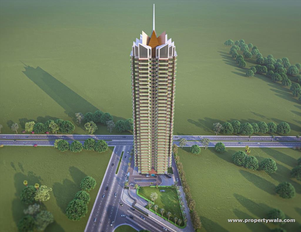 Project - Aerial View