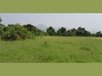 164 acres table land in taluka Mangaon dist Raigad Maharashtra